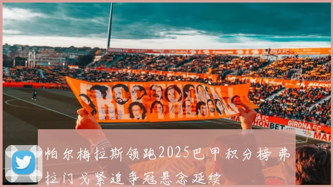 帕尔梅拉斯领跑2025巴甲积分榜 弗拉门戈紧追争冠悬念延续
