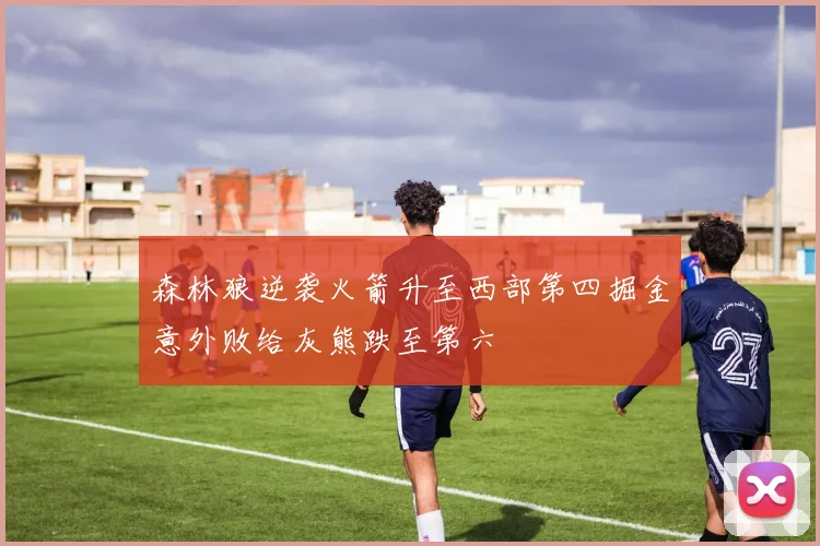 森林狼逆袭火箭升至西部第四掘金意外败给灰熊跌至第六