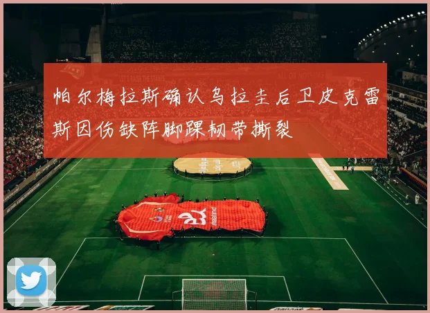帕尔梅拉斯确认乌拉圭后卫皮克雷斯因伤缺阵脚踝韧带撕裂