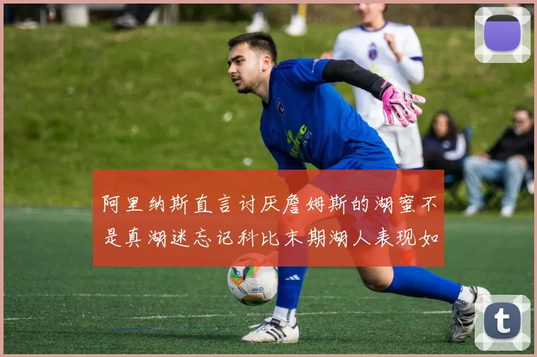 阿里纳斯直言讨厌詹姆斯的湖蜜不是真湖迷忘记科比末期湖人表现如何惨淡