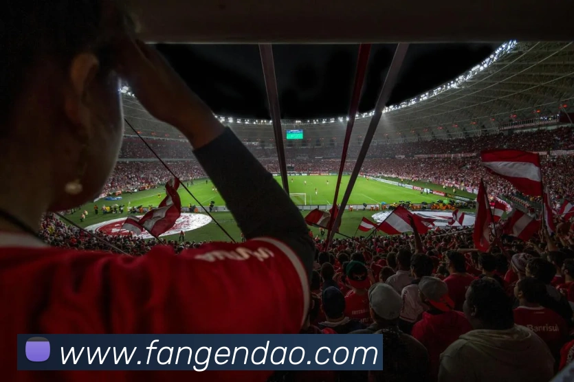 星空官方网站发展历程