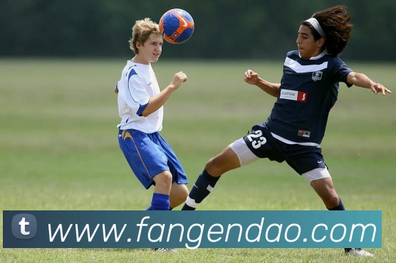 CCTV5加手机线直播高清呈现体育赛事精彩对决引发观赛热潮